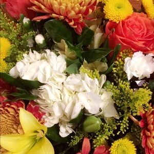 Meet your Posher, Nellie